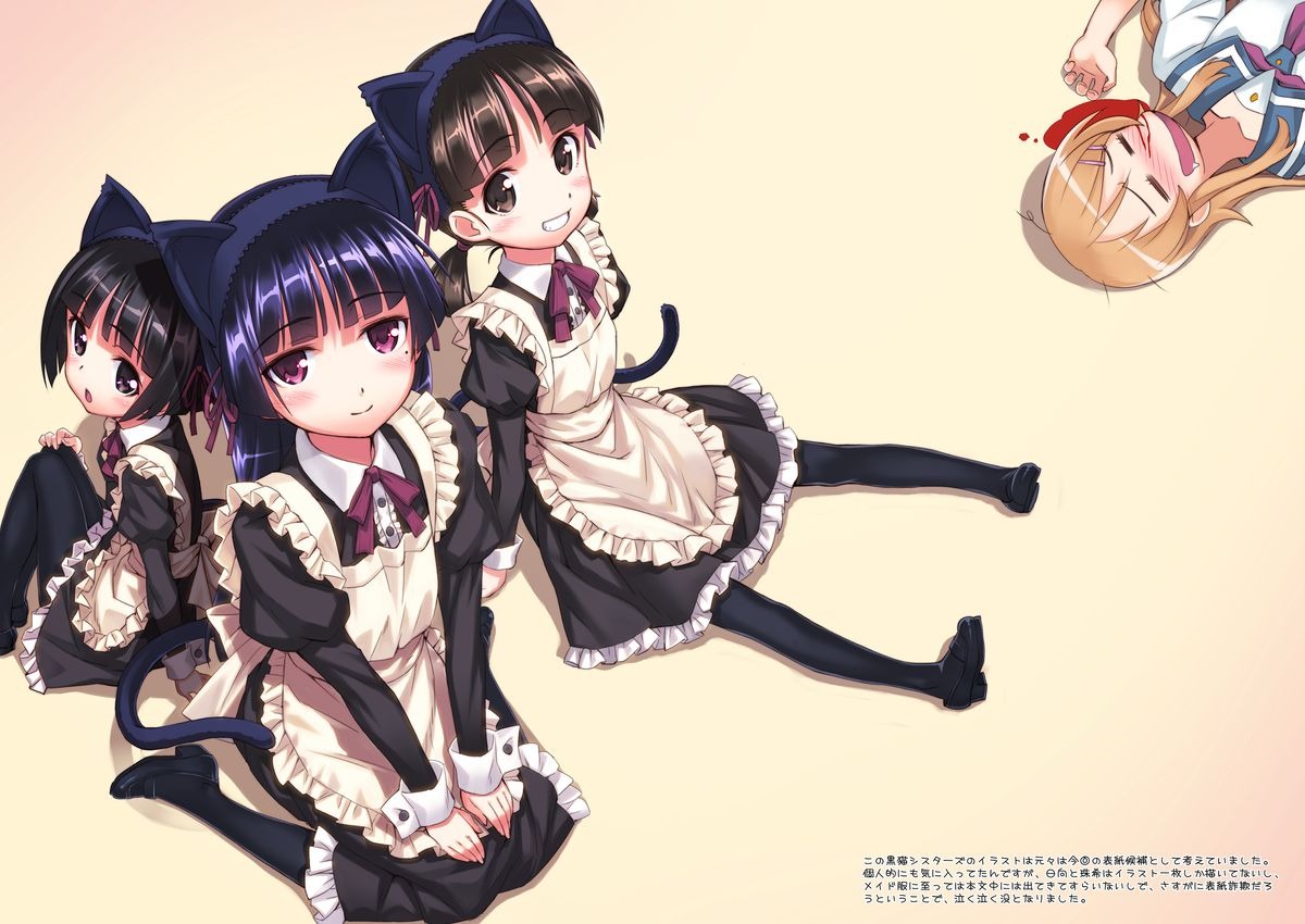 [同人] [Matsuryu] 俺と黒猫があんなコトやこんなコトを…２ (Ore No Imouto Ga Konna Ni Kawaii Wake Ga Nai) [日本語] [P19]